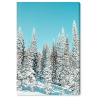 Уинууд студио платно снежни борови дървета цветя и ботанически дървета стена изкуство платно печат бяло 30х20