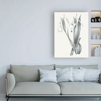 Търговска марка изобразително изкуство 'неутрално ботаническо сиво' платно изкуство от дива ябълка портфолио