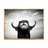 Черно-бял портрет на испански бик в рамка фотография платно Арт Принт